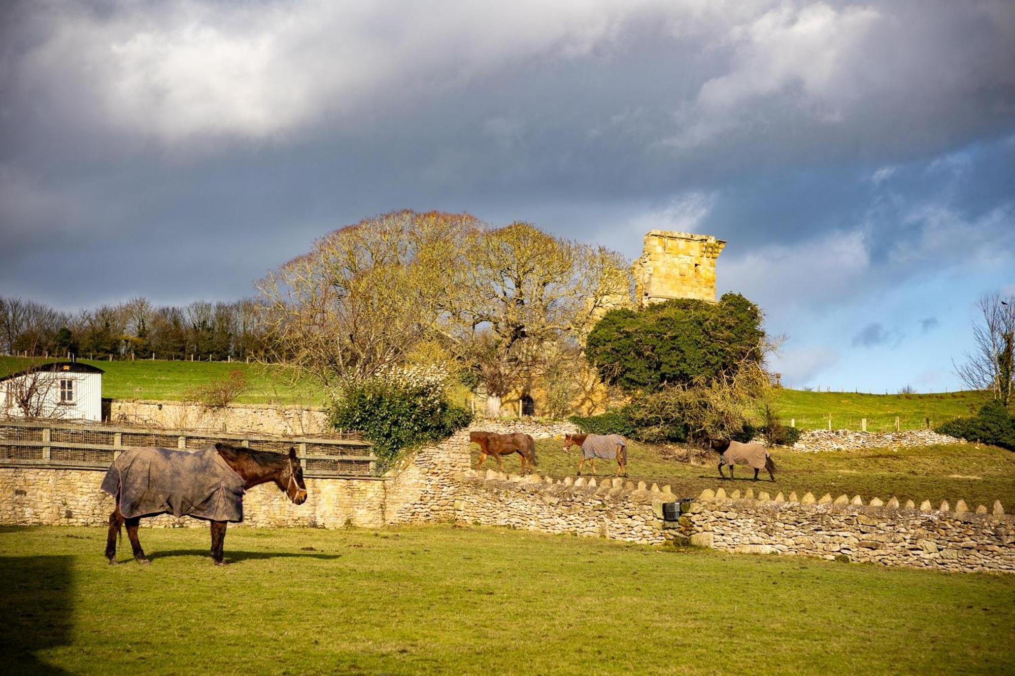 Yew Tree Cottage East Ayton Extérieur photo